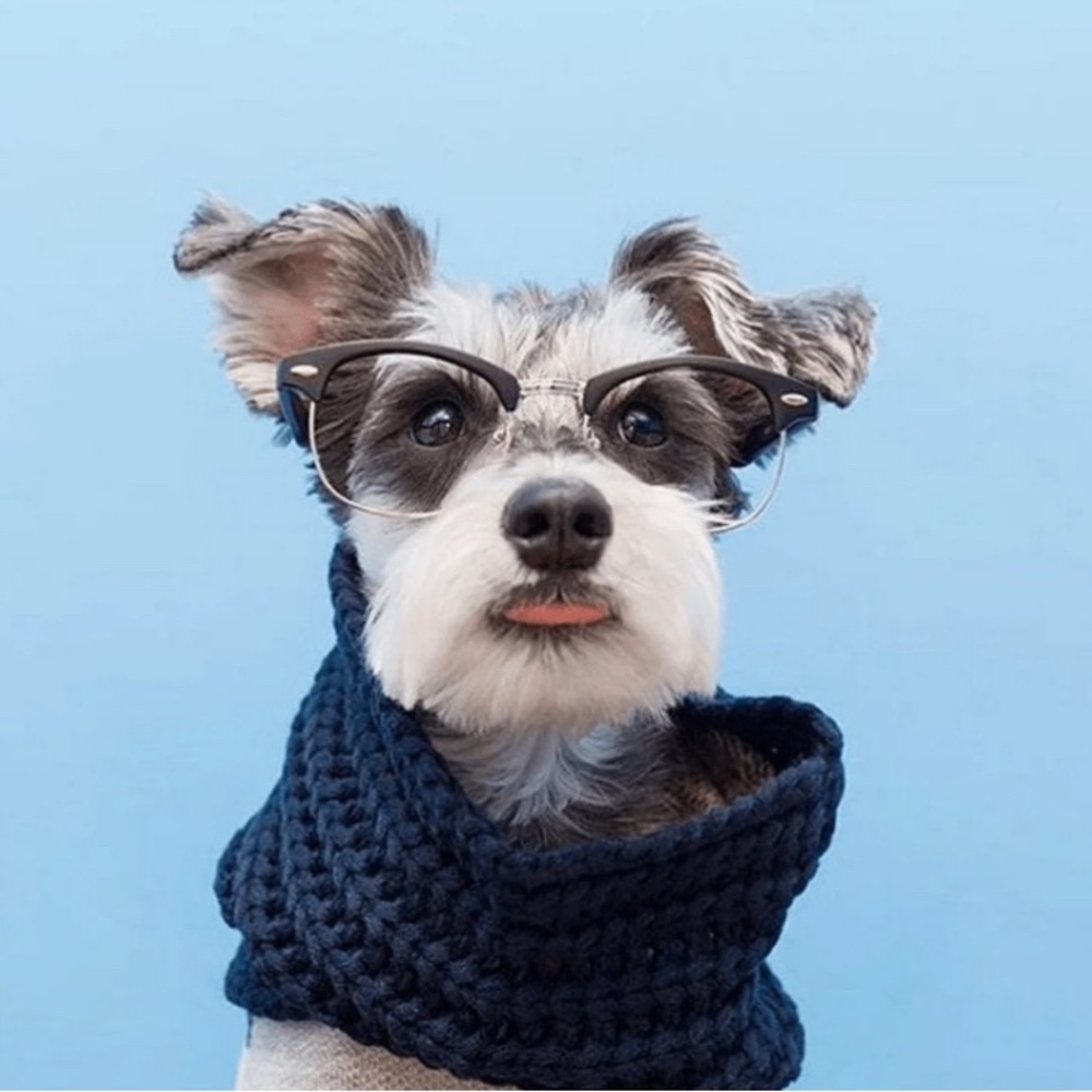 Navy Infinity Scarf